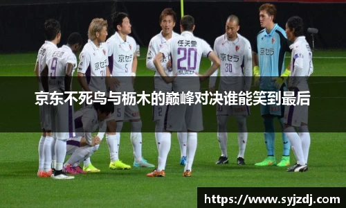 京东不死鸟与枥木的巅峰对决谁能笑到最后